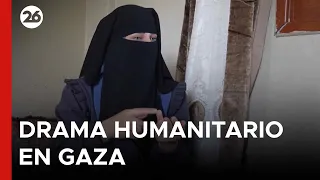 🇵🇸 HUMANITARIAN DRAMA IN GAZA | Miscarriages rise due to the siege and Israeli attacks