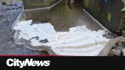 Жители Коквитлама обеспокоены тем, что пенистое вещество попадает в ручей.