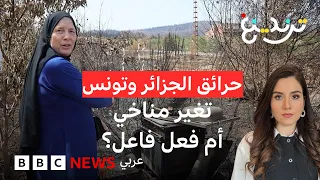 حرائق الجزائر وتونس.. فعل فاعل أم غضب الطبيعة؟