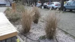 Обновяват ключови пространства в центъра на Стара Загора Обновяват ключови пространства в центъра на Стара Загора