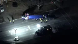 Driver killed, woman hurt after crashing into tree, Niles police say Driver killed, woman hurt after crashing into tree, Niles police say