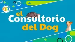 Qué buena tarde – 05 enero 2026