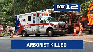 Arborist dies after being hit by falling tree in NW Portland