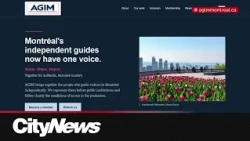 Montreal uncertified tour guides urge City to overhaul license bylaw