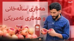 فیچەر: هەناری هەڵەبجە لە عەلوەی سلێمانی
