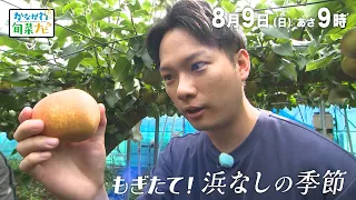 かながわ旬菜ナビ　次回予告（8月9日放送）