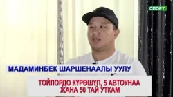 1+1 Мадаминбек Шаршенаалы уулу “Алыштагы калыстардын бардыгын окутуш керек”