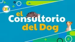 Veterinaria - Lunes 23 febrero 2026 Veterinaria - Lunes 23 febrero 2026