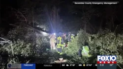 2 dead after trees fall during Isaias in Florida, Alabama