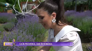 Ce faci in weekend? – Gradina cu lavanda! Ca in provincie, dar in Romania! | Stirile Kanal D