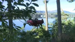 Nanaimo man walks away from crash after going over cliff Nanaimo man walks away from crash after going over cliff