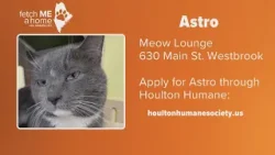 Fetch ME A Home | Lounging with Astro