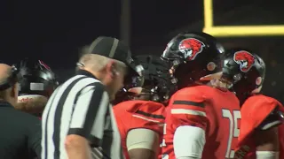 Fearless 40: Malvern Leopards