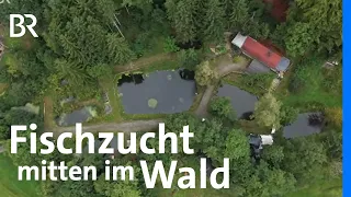 Fischzucht und Kräuter: Den eigenen Traum leben | Zwischen Spessart und Karwendel | BR