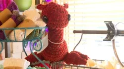 ‘Where in the World Is Sharlie?’ theme inspires a plush scavenger hunt across McCall