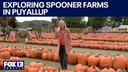 Food, drinks and family fun at Spooner Farms in Puyallup | FOX 13 Seattle