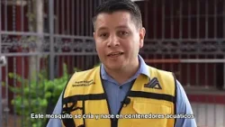 La Secretaría de Salud de Sonora reporta 293 casos de dengue en lo que va del año