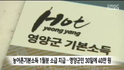 농어촌기본소득 1월분 소급 지급 결정..영양군민 30일에 40만 원 / 안동MBC