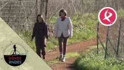 ¿Quién es Teresa Furquet? | Donde Andas