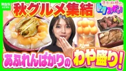 Enjoy Hokkaido's autumn delicacies in a "wildly overflowing" feast! Meat, seafood, and fruit pile...