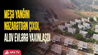 Türkiyədə meşə yanğını yaşayış məntəqələrinə çatdı | APA TV