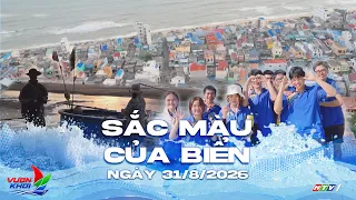 COLORS OF THE SEA | PHUOC HAI COMMUNE: FROM REVOLUTIONARY LAND TO NEW VITALITY