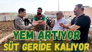 Yem Artıyor, Süt Geride Kalıyor!