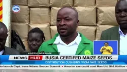 70,000 Busia farmers receive certified maize seeds 70,000 Busia farmers receive certified maize seeds