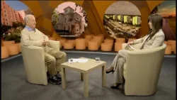 Álláspont: A Nemzetközi Gyermekmentő Szolgálat mindennapi tevékenysége (2026.03.20.)