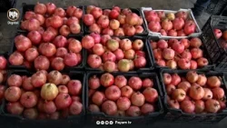 باخەوانان و فرۆشیارانی هەنار: بۆ هەڵگرتنی بەرهەمەكانمان پێویستمان بە ساردخانەیە