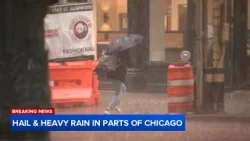 Град заставил пешеходов в панике разбегаться по центру Чикаго.