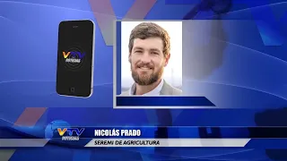 Entrevista VTV Nicolas Prado - Seremi de Agricultura