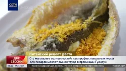 «Курс на будущее»: как профкурсы для поваров меняют рынок труда в Гуандуне
