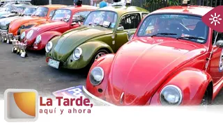 The Afternoon Here and Now | Volkswagen's 'Beetle' keeps a legion of fans as it turns 92