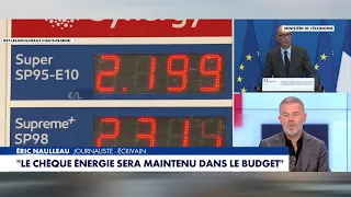Pouvoir d'achat : «Ce n'est pas en distribuant des chèques qu'on s'en sortira», lâche Éric Naulleau
