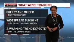 Your First Alert Forecast