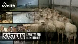 SUSTRAIA: KROKETAK.eus, Gesaltza eta Alimentaria