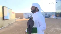 الرسالة اليومية لبطولة فزاع للصيد بالصقور - الحلقة الرابعة