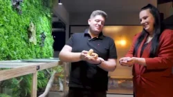 Tragom ulica : Vladimir Stanojev - JUNGLE SPOT - Zov divljine u srcu Novog Sada