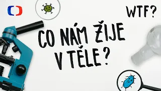 Co všechno žije v našem pupíku?! | What the Fact?