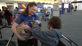 Bradley International Airport uses bunnies to keep travelers comfortable