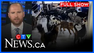Inside the report that led to St. Thomas shelter audit | CTV News London at 11, Thurs. Aug. 13, 2026