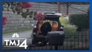 Bear climbs into Wisconsin family's minivan during stop on trip home from Tennessee