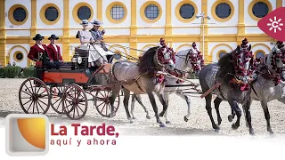 The Afternoon Here and Now | Three Generations of Carriage Drivers in Jerez de la Frontera