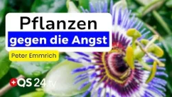 Diese 3 Pflanzen helfen wirklich bei Angst, Stress & Erschöpfung | Urtinkturen 5/7 | QS24 Diese 3 Pflanzen helfen wirklich bei Angst, Stress & Erschöpfung | Urtinkturen 5/7 | QS24
