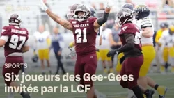 Football : invasion de Gee-Gees à venir dans la LCF?