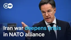 Trump, Rutte meet amid Iran war tensions | DW News