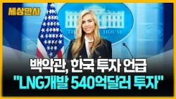 백악관 새 대변인, 첫 브리핑서 "한국, 알래스카 540억 달러 투자" [세상만사] #백악관 #브리핑 #한국 #알래스카