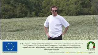 Виктор Ромбаут: No-till е инвестиция в почвата и стабилността на добивите