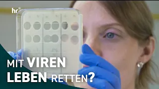 Phages: "Bacteria-eaters" against dangerous infections